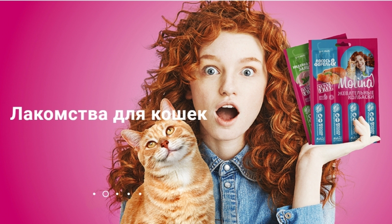 Компания MOLINA