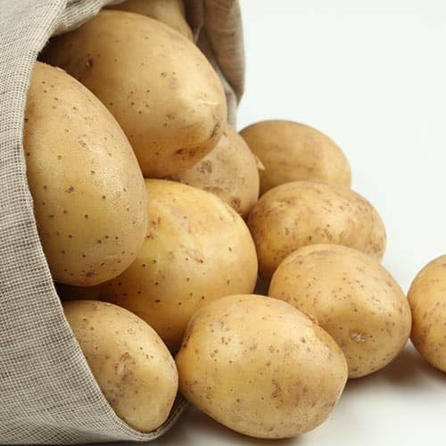 Овощи столового назначения и на переработку от оптового поставщика