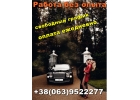 Приглашаем на работу в сферу ESCORT девушек