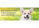 Ветеринарная клиника на дом в Екатеринбурге